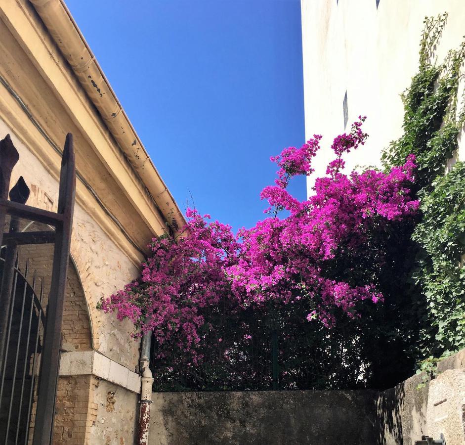 Hotel Diana Vence Bagian luar foto