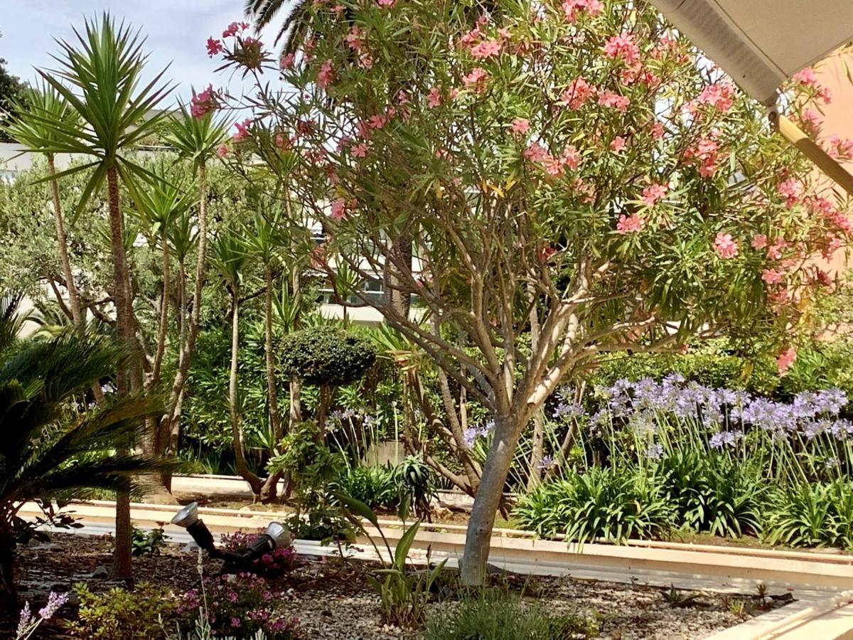 Hotel Diana Vence Bagian luar foto