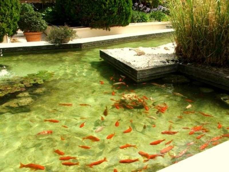 Hotel Diana Vence Bagian luar foto