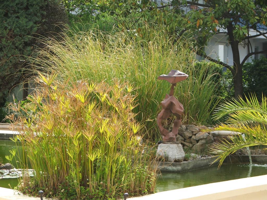 Hotel Diana Vence Bagian luar foto